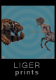 Liger Prints