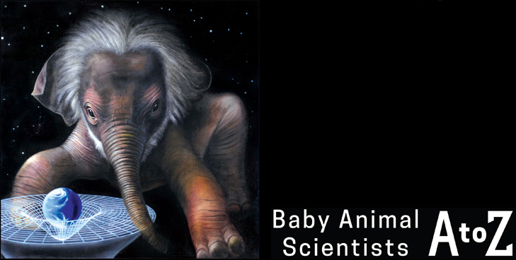 Baby Animal Scientists A to Z