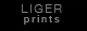 Liger Prints