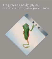 Frog Nymph Study | Oil on Panel | 5.625" x 5.625"