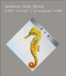 Seahorse Study | Oil on Panel | 5.625" x 5.625"